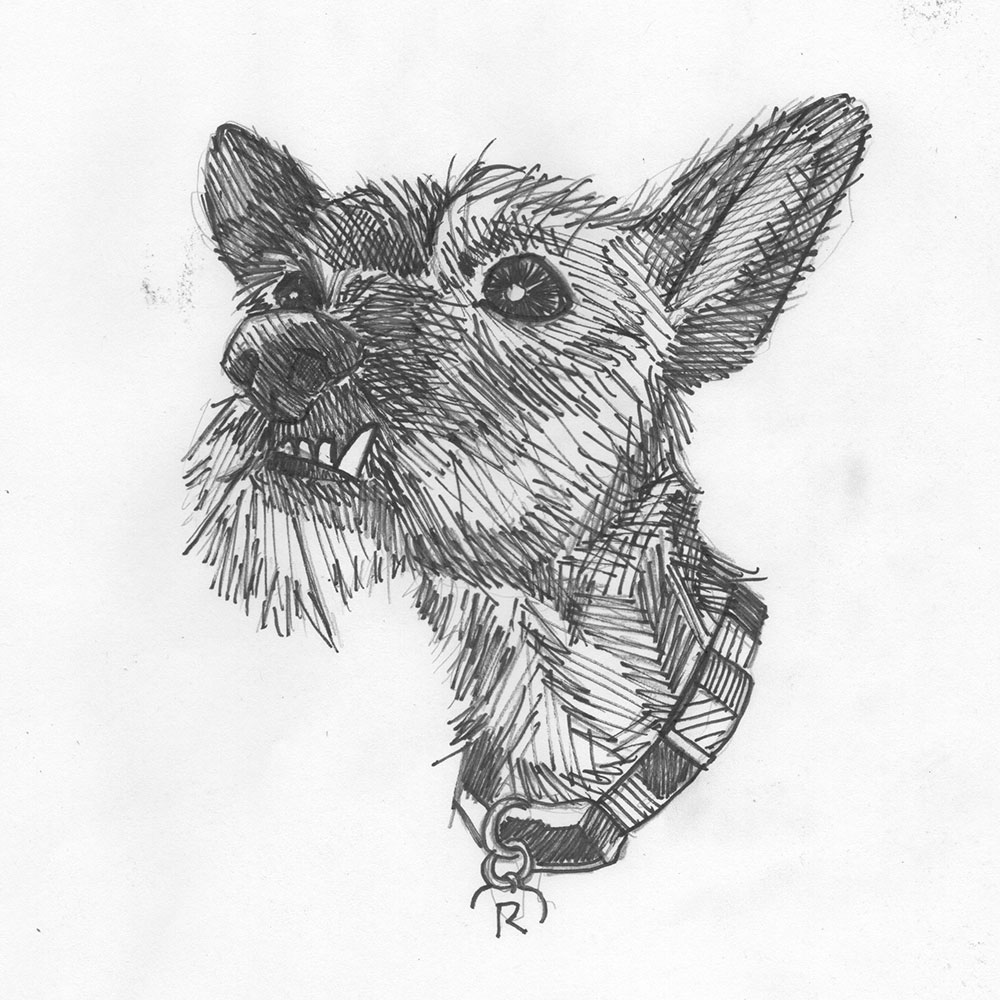 my dog, Rigby, illustration